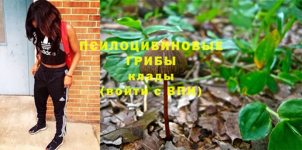 винт Алзамай