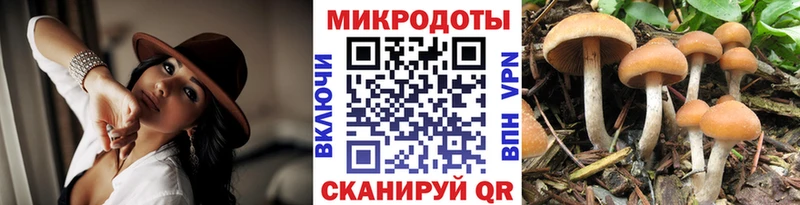 даркнет состав  что такое наркотик  Нюрба  Галлюциногенные грибы GOLDEN TEACHER 